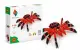 Alexander Toys ORIGAMI 3D - Spider #2