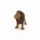 Papo Lion #10