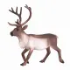 Mojo Fun Reindeer