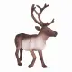 Mojo Fun Reindeer #3