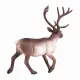 Mojo Fun Reindeer #5