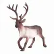 Mojo Fun Reindeer #2