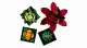 LEGO Botanicals Succulents #4