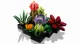 LEGO Botanicals Succulents #3