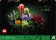 LEGO Botanicals Succulents