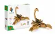 Alexander Toys ORIGAMI 3D - Scorpion #2