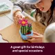LEGO Botanicals Flowering Cactus #17