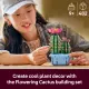 LEGO Botanicals Flowering Cactus #13