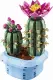 LEGO Botanicals Flowering Cactus #3