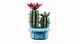 LEGO Botanicals Flowering Cactus #7