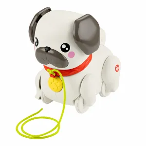 Fisher-Price HTW94