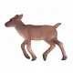 Mojo Fun Reindeer Calf #5