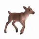 Mojo Fun Reindeer Calf #2