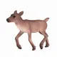 Mojo Fun Reindeer Calf