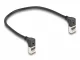 DeLOCK 80279