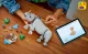 LEGO Creator Wild Animals: Majestic Rhino with Birds #13