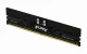Kingston Technology FURY Renegade Pro