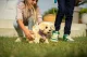 Zapf BABY born My Dog Lucky with Box #12