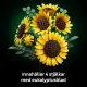 LEGO Botanicals 11502 #8