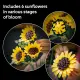 LEGO Botanicals 11502 #16
