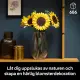 LEGO Botanicals 11502