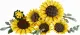 LEGO Botanicals 11502 #3