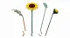 LEGO Botanicals 11502 #7