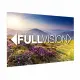 Da-Lite FullVision #2