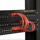 Black Box Cat6, 22.9cm #4