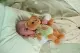 Zapf BABY born for babies Teddy 26cm #6