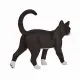 Mojo Fun Cat #5