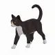 Mojo Fun Cat #2