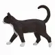 Mojo Fun Cat