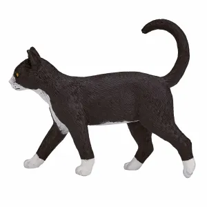Mojo Fun Cat