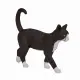 Mojo Fun Cat #3