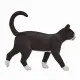 Mojo Fun Cat #4