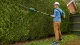 Bosch UniversalHedgePole 18 #5