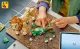 LEGO Creator Wild Animals: Majestic Lion #12