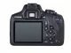 Canon EOS 2000D + EF-S 18-55 IS II + EF 50mm #8