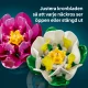 LEGO Botanicals 11511 #9