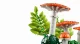 LEGO Botanicals Waldpilze #7