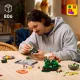 LEGO Botanicals Waldpilze #11