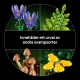 LEGO Botanicals Waldpilze #8