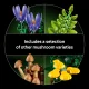 LEGO Botanicals Waldpilze #17