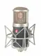 sE Electronics GEMINI II #2
