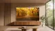 TCL MSQLED80L 98MSQLED80L #2