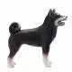 Mojo Fun Shiba Inu Black #5