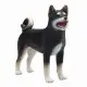 Mojo Fun Shiba Inu Black #4