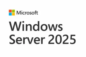 Microsoft Windows Server CAL 2025