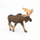 Papo Moose #2